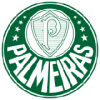 Oblečení Palmeiras